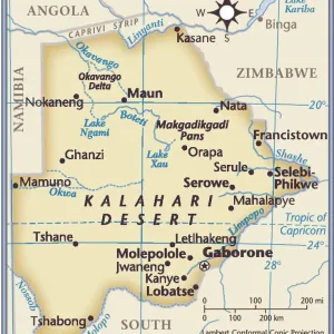 Botswana Country Map 2011 Print (Reference Maps)