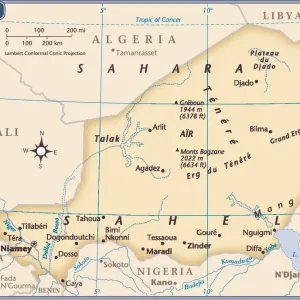 Niger Country Map Print (Reference Maps, 2011 Edition) Niger Country Map Print (Reference Maps, 2011 Edition)