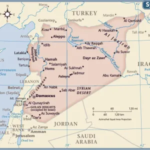 Syria Country Map 2011 Print (Reference Maps)