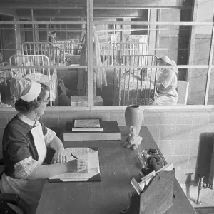 Fine Art Storehouse Print: Isolation Ward, 29th January 1944 Fine Art Storehouse Print: Isolation Ward, 29th January 1944