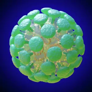 Coronavirus Structure Print, Science Inspired Art Coronavirus Structure Print, Science Inspired Art