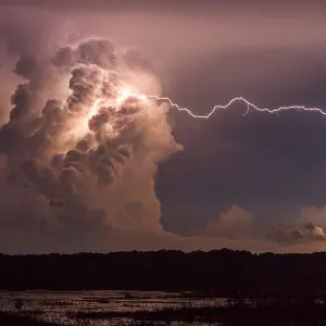 Bolt from the Blue Print - Fogg Dam Lightning Storm, 2015 Bolt from the Blue Print - Fogg Dam Lightning Storm, 2015