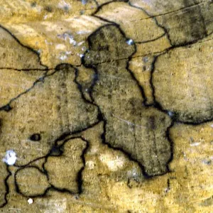 Texture - abstract Texture - abstract