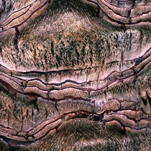 Texture - abstract Texture - abstract