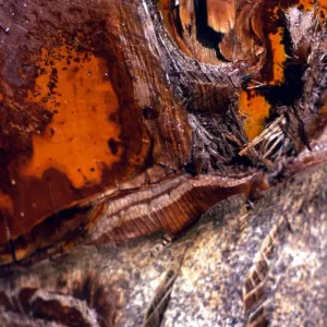 Texture - abstract Texture - abstract