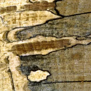 Texture - abstract Texture - abstract