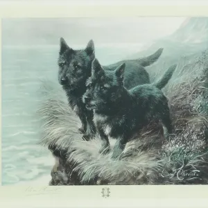 Print of Two Scotties, a lithograph featuring two Scottish terriers Print of Two Scotties, a lithograph featuring two Scottish terriers