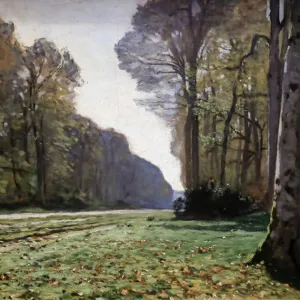 Le Pave de Chailly 1865 Oil on Canvas Print by Monet