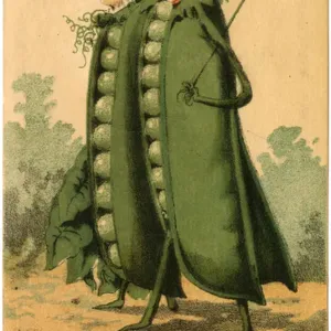 American 19th Century Print: Advertisement for Rices Seeds American 19th Century Print: Advertisement for Rices Seeds
