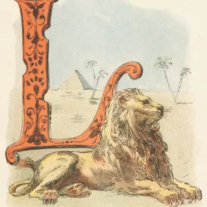 L: Lion L: Lion