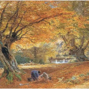 Burnham Beeches (litografía a color). Burnham Beeches (litografía a color).