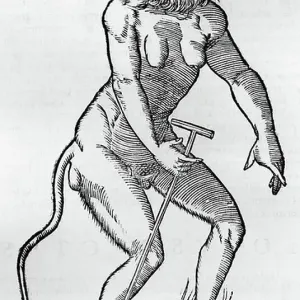 Zeerocpithecus menschlicher Größe und Form (Cercopithecus formae rarae), Kupferstich aus dem Buch Zeerocpithecus menschlicher Größe und Form (Cercopithecus formae rarae), Kupferstich aus dem Buch