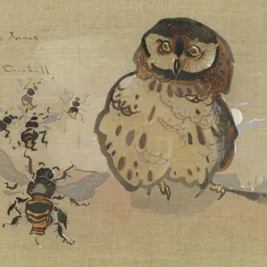 Fine Art Finder Print: Owl and Bees (Gouache on Linen) Fine Art Finder Print: Owl and Bees (Gouache on Linen)