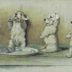 Cecil Aldin's For what we are about to receive Print Cecil Aldin's For what we are about to receive Print