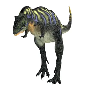 Aucasaurus-Dinosaurier, Frontansicht auf weißem Hintergrund.