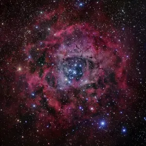The Rosette Nebula Print - A Circular H II Region in Monoceros The Rosette Nebula Print - A Circular H II Region in Monoceros