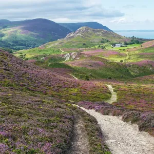Vista desde el oeste desde la cima de la montaña Conwy, con la montaña Alltwen encima de la granja. Vista desde el oeste desde la cima de la montaña Conwy, con la montaña Alltwen encima de la granja.