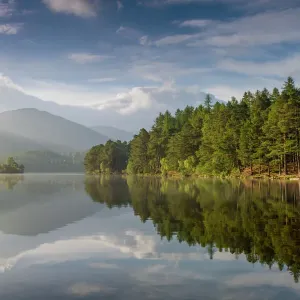 Loch am Eilein mit bewachsenen Rändern im Morgenlicht, Schottland - Königlich Naturreservat für die Tiere und Pflanzen der Highlands