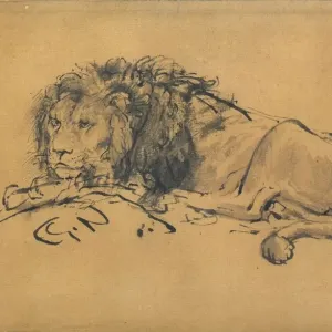 Rembrandt Lion Print, Louvre Collection, c1650 Rembrandt Lion Print, Louvre Collection, c1650