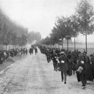 Print of Belgians fleeing Termonde during the First World War, 1914 Print of Belgians fleeing Termonde during the First World War, 1914