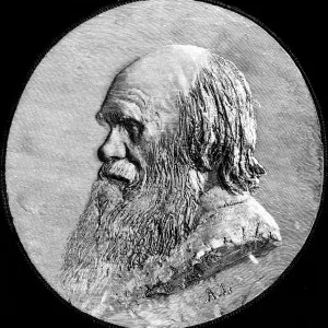 Charles Darwin Print, 1882 Charles Darwin Print, 1882