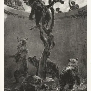 Beiträge zur Steinebearbeitung mit Pinsel und Schaber; Die Bärengrube, 1851. Ersteller: Adolf von Menzel Beiträge zur Steinebearbeitung mit Pinsel und Schaber; Die Bärengrube, 1851. Ersteller: Adolf von Menzel