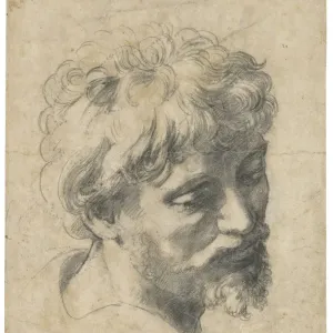 Head of a Young Apostle Print Head of a Young Apostle Print