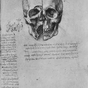Leonardo da Vinci Print: Two Halves of a Skull, c1480