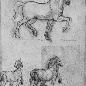 Leonardo da Vinci, Three Studies of Horses Print (c1480)