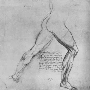 Leonardo da Vinci, Study of the Legs, Print (1945)