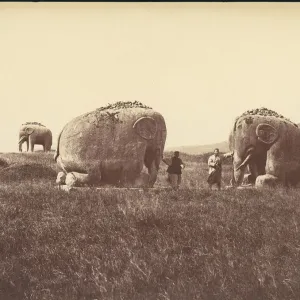 Monumental Elephant Statues in China, 1860s-70s Print Monumental Elephant Statues in China, 1860s-70s Print