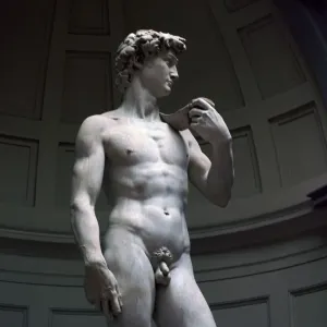 Michelangelo's David Print