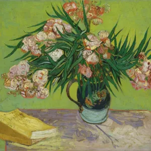 Olivenen, 1888. Ersteller: Vincent van Gogh