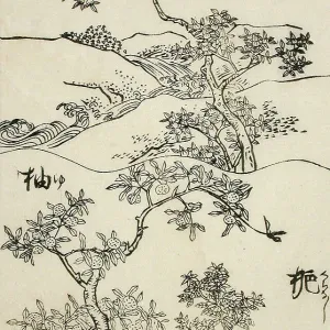 Beispiele für drei Baumarten zur Kunst, 19th Jahrhundert. Ersteller: Shinsai Beispiele für drei Baumarten zur Kunst, 19th Jahrhundert. Ersteller: Shinsai