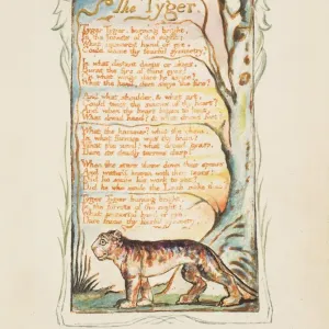 William Blake's The Tyger Print, ca. 1825 William Blake's The Tyger Print, ca. 1825