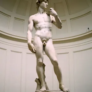 Michelangelo's David Print, Accademia Gallery, Florence