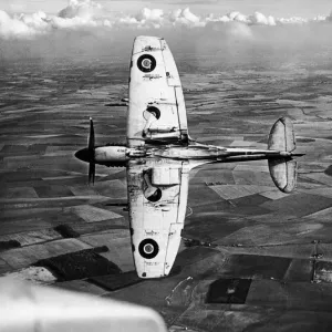 The Spitfire Mark XII with Rolls Royce Griffon engine Print The Spitfire Mark XII with Rolls Royce Griffon engine Print
