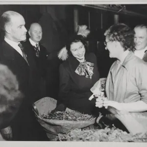 La principessa Elisabetta (fra poco Regina) paga una visita ufficiale a Wills. La principessa Elisabetta (fra poco Regina) paga una visita ufficiale a Wills.