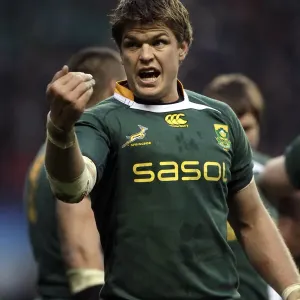 Juan Smith Print, England V South Africa Rugby Union Juan Smith Print, England V South Africa Rugby Union