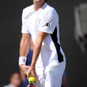 Tommy Haas Wimbledon Championship 2009 Print