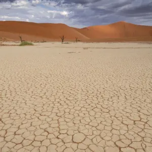 Dead Vlei Print, Namib Naukluft National Park Landscape