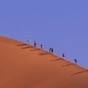 Sossusvlei Sand Dune Hike Print