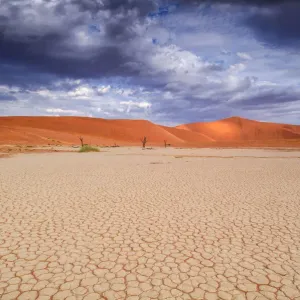 Sossusvlei Sand Dunes Print