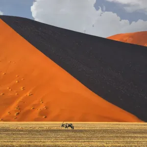 Gemsbok Print - Sossusvlei Landscape in Namib-Naukluft National Park