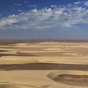 Skeleton Coast Sand Dunes Print