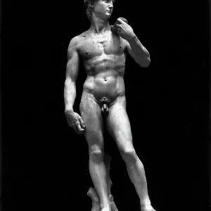 David, Michelangelo, Buonarroti, Accademia Gallery, Florence David, Michelangelo, Buonarroti, Accademia Gallery, Florence