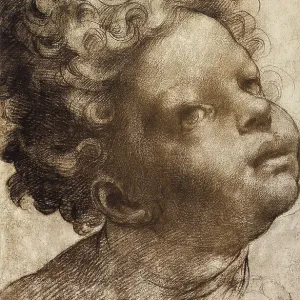 Study of a baby's head (male), drawing by Raphael. Galleria Albertina, Vienna