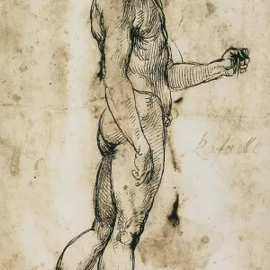 Study of a male nude seen from the rear; drawing by Raphael. British Museum, London
