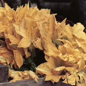 Flores de calabaza.