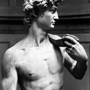 The torso of David by Michelangelo Buonarroti, located at the Academy of Art in Florence